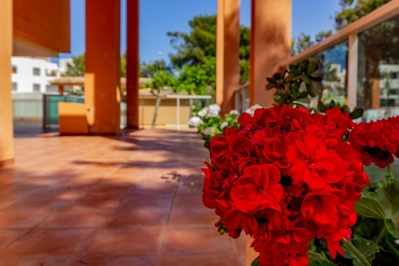 Apartamento RealRent Mirador al Mar Dénia Exterior foto